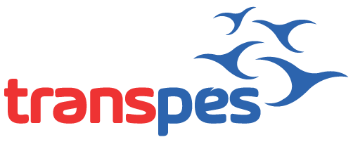 Logo TRANSPES sem slogan